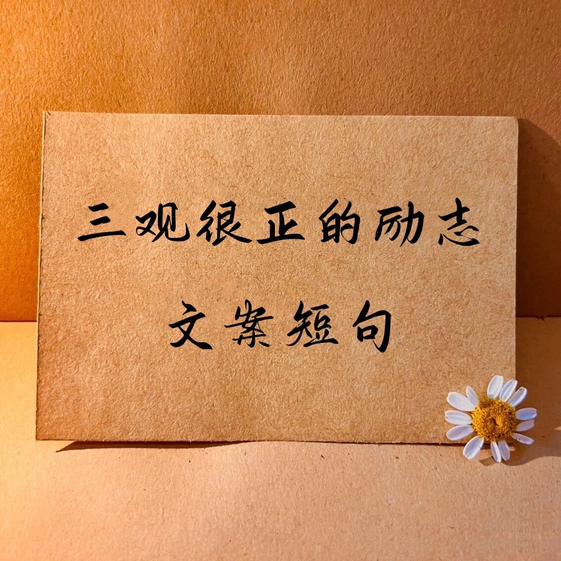 B体育体育教练-拼尽全力！胜负在此一战决定的简单介绍